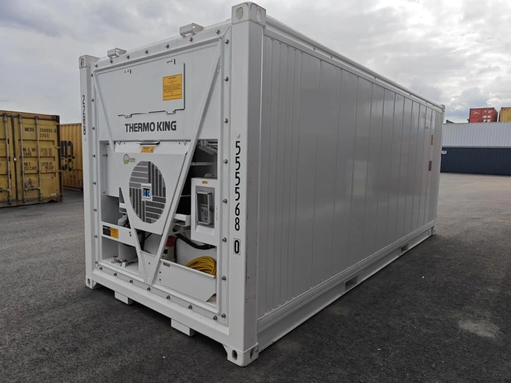 Contenitore refrigerato Thermo King REF 5555680